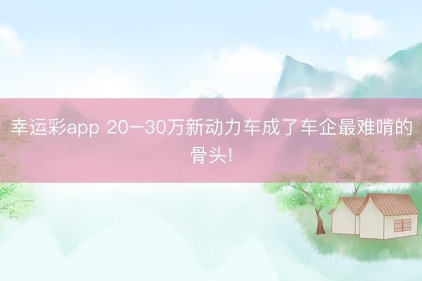 幸运彩app 20–30万新动力车成了车企最难啃的骨头!